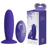BI-040045WL